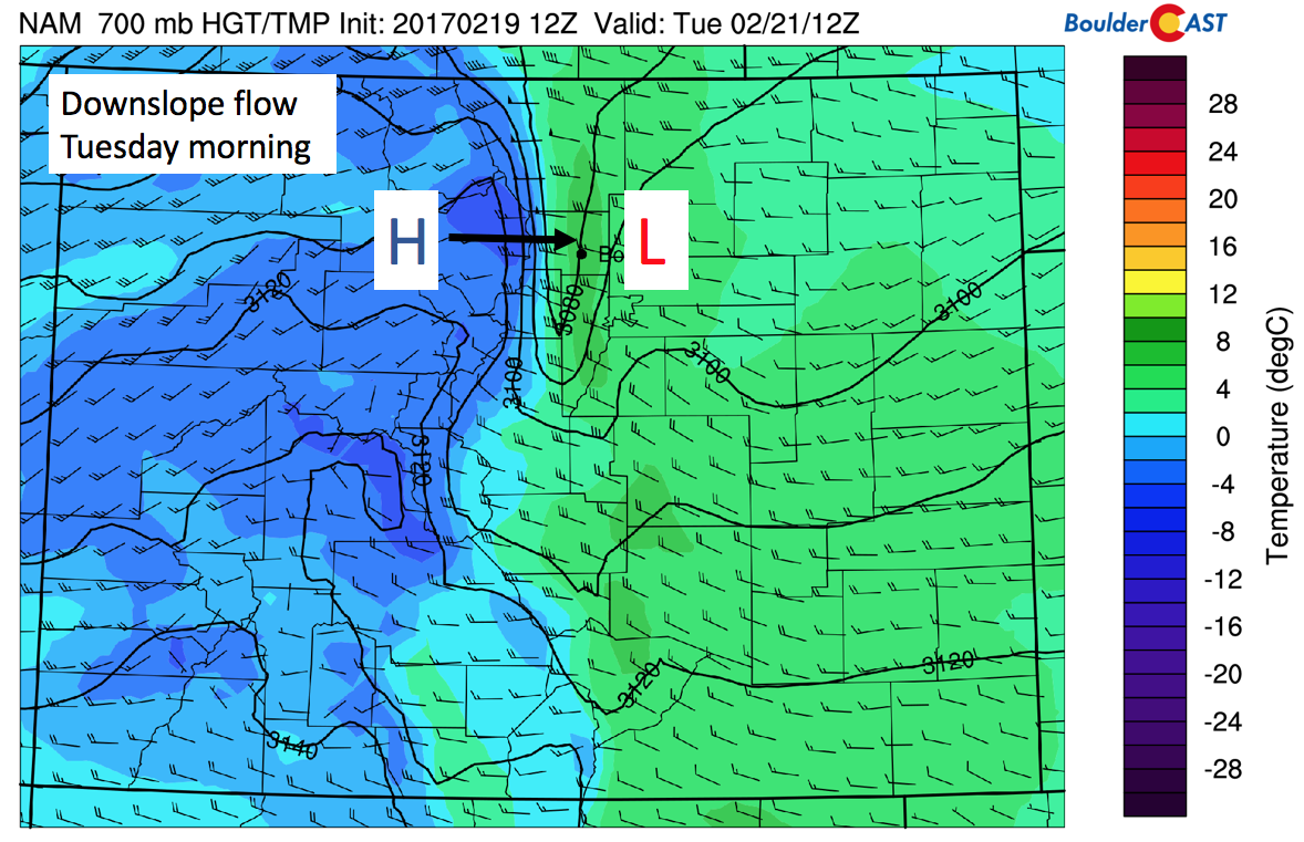 NAM near-surface height, wind, and temperature (degC) for Monday night