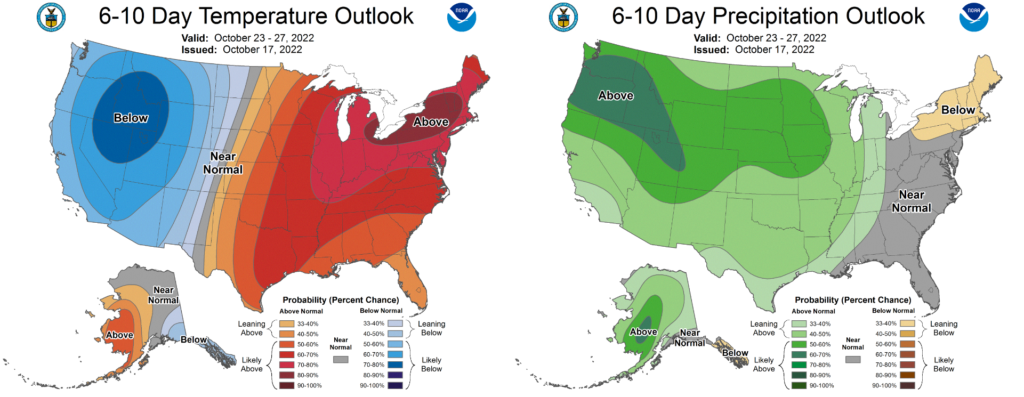 Cooler weather & maybe snow in the extended forecast, plus the entries ...